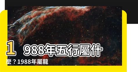 1988屬|【1988 什麼龍】1988 年五行屬什麼龍？你的命運、姻緣等你來解。